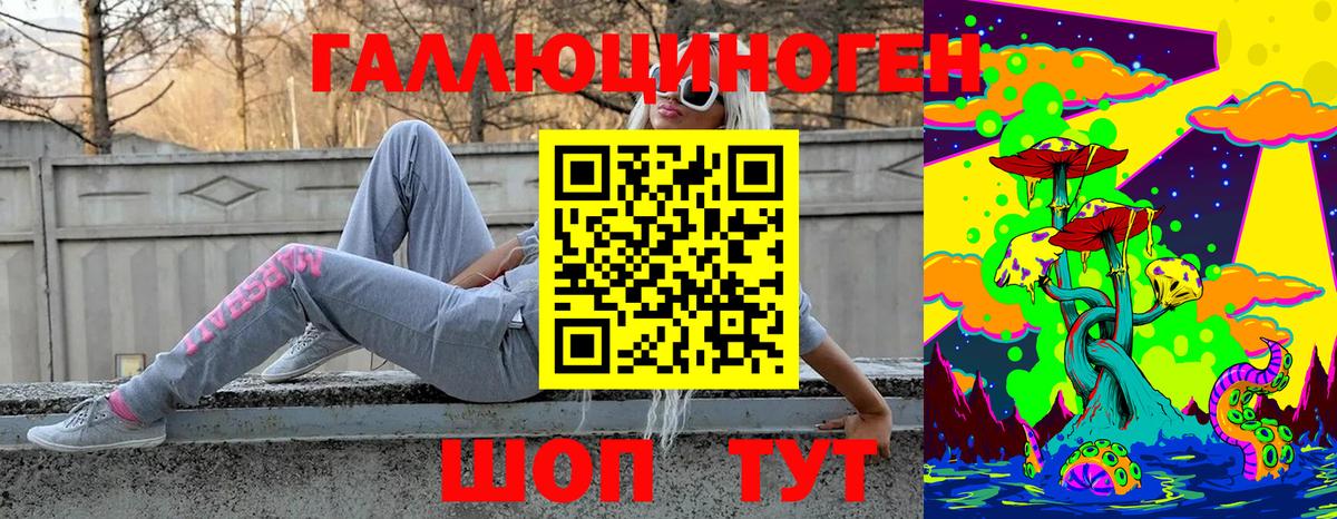 Мценск  Псилоцибиновые грибы прущие грибы  Вход с VPN  Псилоцибиновые грибы GOLDEN TEACHER 